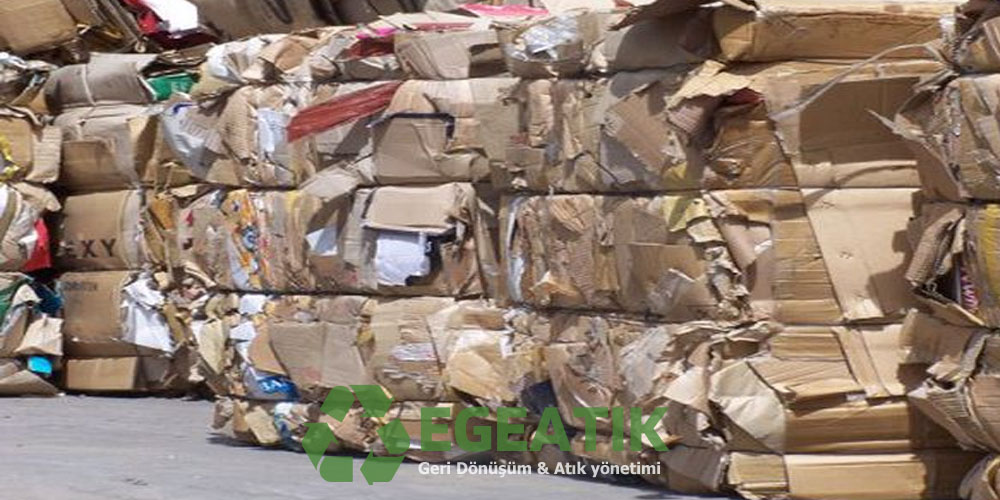 Karton Kagıt alımı